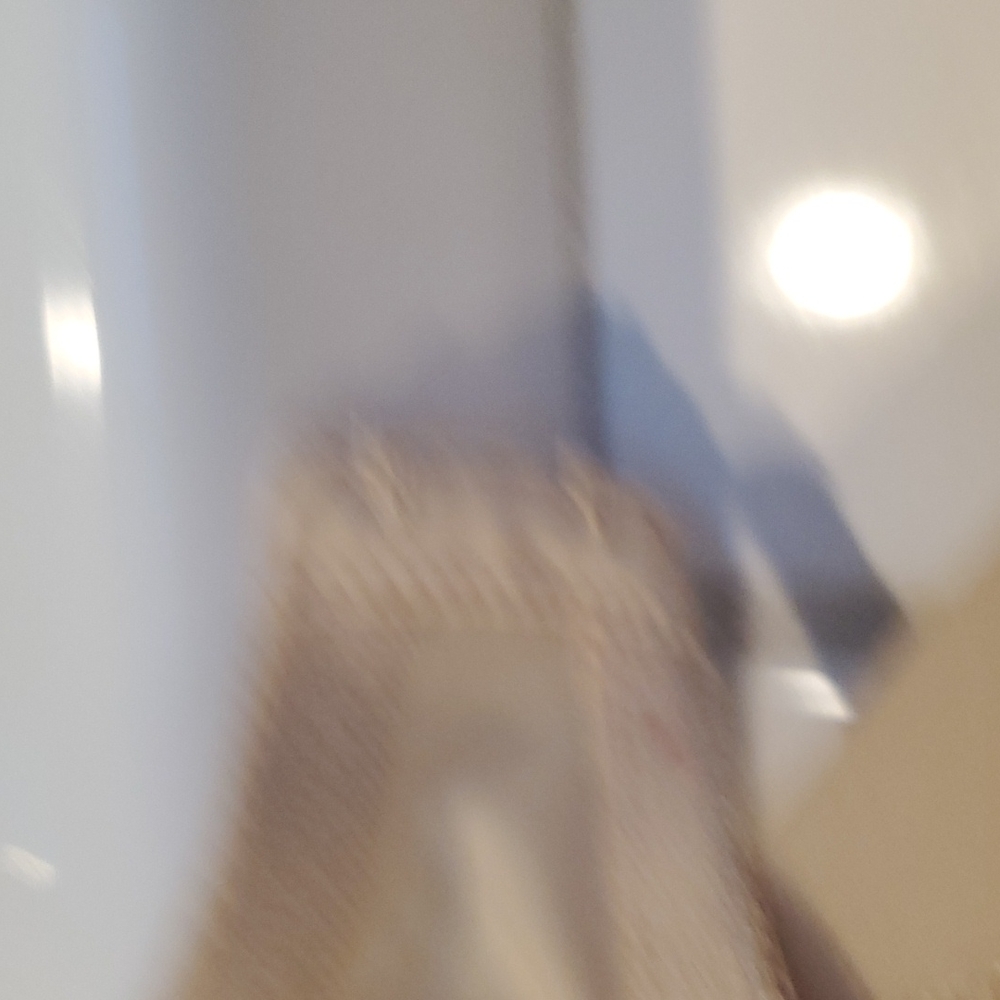 Bra - Picture 4 of 4